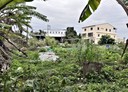 大雅區-土地，144.4坪