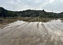 通霄鎮-土地，305.8坪