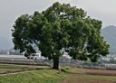 新社區-興社街一段3房3廳，60.6坪