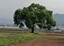新社區-興社街一段4房2廳，83.3坪