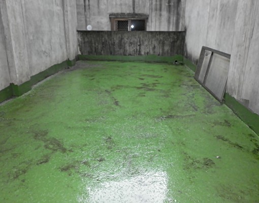 青年街店住(興嘉公園店住) - Image 9