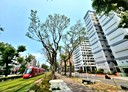 苓雅區-德安街3房2廳，51.3坪
