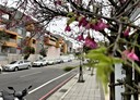 大園區-大成路二段2房1廳，37.1坪