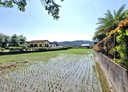 三星鄉-土地，2058坪