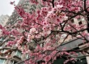 淡水區-新市一路一段3房2廳，48.4坪