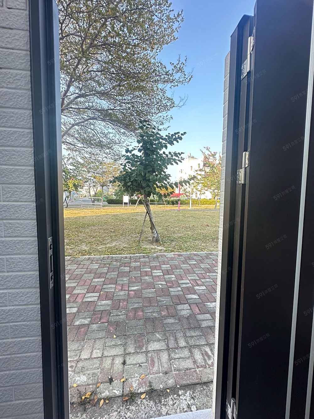 照片