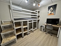 自由路✅網美分租全新家俱電..