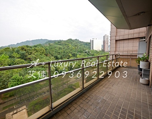 千禧林園一層一戶面公園絕美山景有傭房近捷運象山101 - Image 4