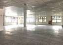 大雅區-民生路三段廠房，1650坪