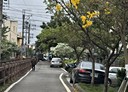 平鎮區-平東路4房2廳，22.7坪