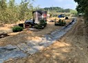 關廟區-新埔段土地，333坪