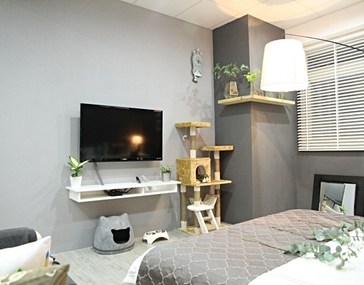 楊梅頂極唯美套房#可貓寵#頂樓平台好利用 - Image 11