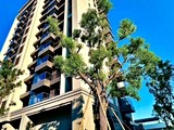 實景圖(9)