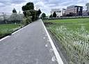 潭子區-土地，790.9坪
