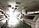蘆竹區-大興路廠房，990坪