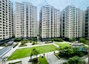 龜山區-文青二路4房2廳，57坪