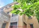 新城鄉-立業街5房2廳，66.8坪