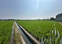 霧峰區-五福南段土地，613.9坪