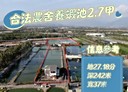 鹽埔鄉-民意路土地，7975坪