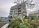 香山區-中華路六段2房2廳，29坪