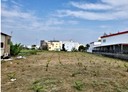 仁武區-土地，113.8坪