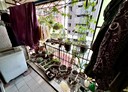新興區-中山一路1房1廳，10.8坪