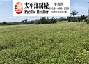 成功鎮-和平南段土地，756坪