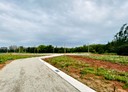平鎮區-中庸段土地，72.9坪
