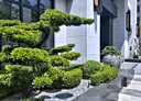 左營區-自由四路3房2廳，55.3坪
