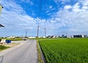 宜蘭市-茭白段土地，729坪