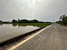 崁頭段新豐崁頭臨路美田