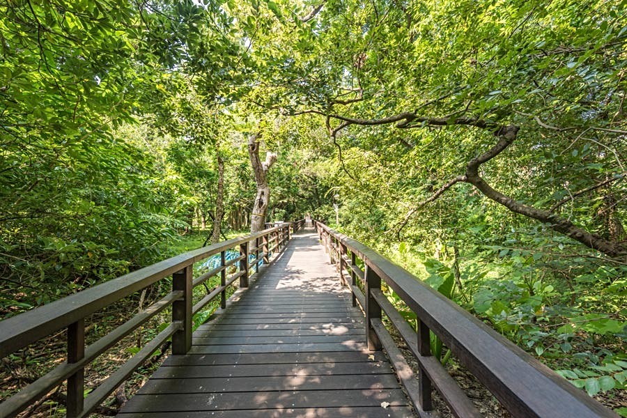 植物園南海學園公園綠地實景拍攝