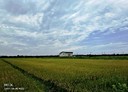 壯圍鄉-新南路土地，1104坪