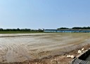 觀音區-土地，1298坪