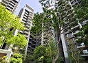 北屯區-環太東路3房2廳，46坪