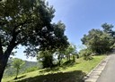 汐止區-土地，685坪