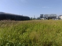 阿蓮都內雙面路1.5分美農地