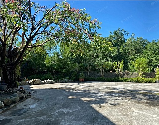 平房出租.近東華大學.壽豐行政中心 - Image 6