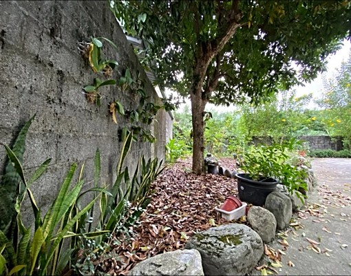 平房出租.近東華大學.壽豐行政中心 - Image 7
