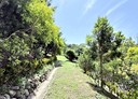 通霄鎮-福興段土地，756.3坪