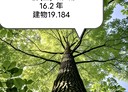 淡水區-民權路2房2廳，19.2坪