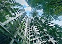 東區-進化路2房2廳，34.7坪