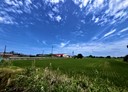 水林鄉-土地，968.9坪
