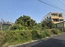 歸仁區-土地，265.6坪