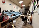 三峽區-二鬮路5房2廳，28.6坪