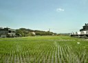 香山區-土地，820坪