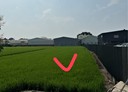 烏日區-五光路土地，653.4坪