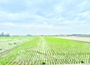 虎尾鎮-土地，450.4坪