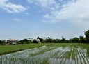 竹東鎮-二重埔段土地，30.8坪