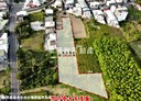 新化區-土地，1191坪